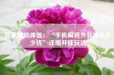 玩家辅助神器：“手机麻将外卦神器多少钱”详细开挂玩法