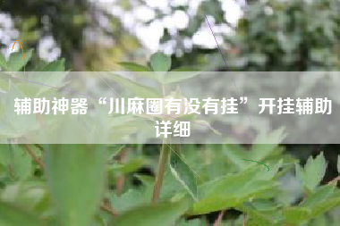 辅助神器“川麻圈有没有挂”开挂辅助详细