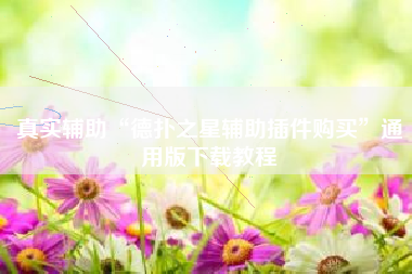 真实辅助“德扑之星辅助插件购买”通用版下载教程