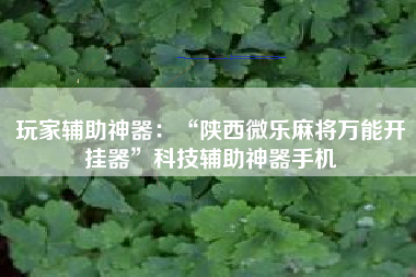 玩家辅助神器：“陕西微乐麻将万能开挂器”科技辅助神器手机