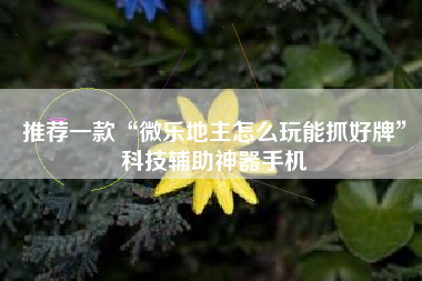 推荐一款“微乐地主怎么玩能抓好牌”科技辅助神器手机