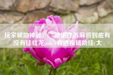 玩家辅助神器：“微乐江苏麻将到底有没有挂红龙poker有透视辅助挂(太