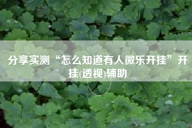 分享实测“怎么知道有人微乐开挂”开挂(透视)辅助