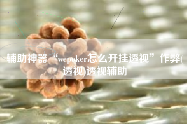 辅助神器“wepoker怎么开挂透视”作弊(透视)透视辅助