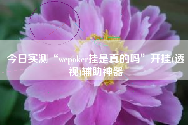 今日实测“wepoker挂是真的吗”开挂(透视)辅助神器