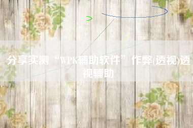 分享实测“WPK辅助软件”作弊(透视)透视辅助