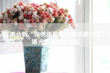 实测分析“如何使用德扑辅助器开挂”(曝光透视必备猫腻