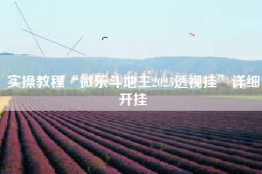 实操教程“微乐斗地主2025透视挂”详细开挂