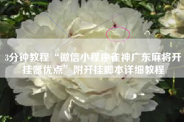 3分钟教程“微信小程序雀神广东麻将开挂器优点”附开挂脚本详细教程