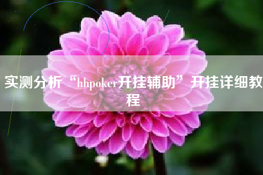实测分析“hhpoker开挂辅助”开挂详细教程