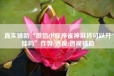 真实辅助“微信小程序雀神麻将可以开挂吗”作弊(透视)透视辅助