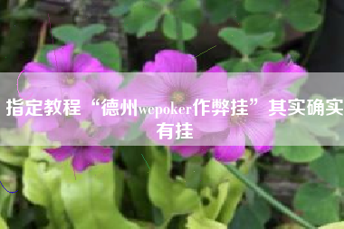 指定教程“德州wepoker作弊挂”其实确实有挂