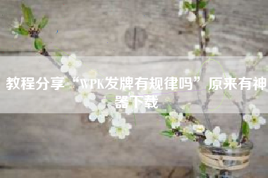 教程分享“WPK发牌有规律吗”原来有神器下载