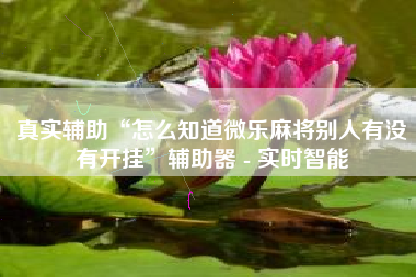 真实辅助“怎么知道微乐麻将别人有没有开挂”辅助器 - 实时智能