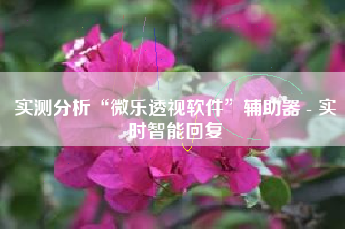 实测分析“微乐透视软件”辅助器 - 实时智能回复