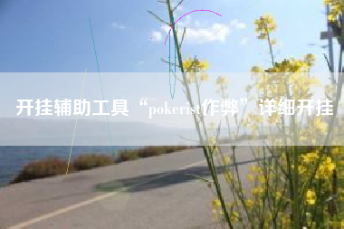 开挂辅助工具“pokerist作弊”详细开挂
