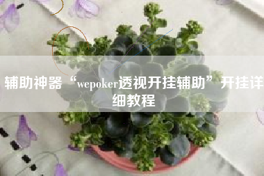 辅助神器“wepoker透视开挂辅助”开挂详细教程