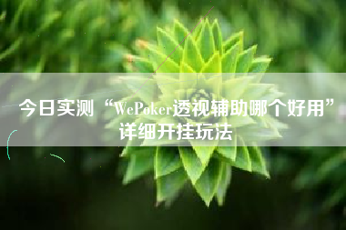 今日实测“WePoker透视辅助哪个好用”详细开挂玩法