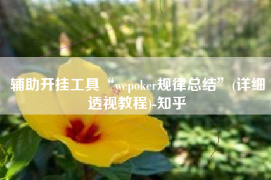 辅助开挂工具“wepoker规律总结”(详细透视教程)-知乎