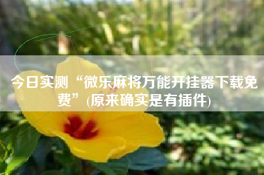 今日实测“微乐麻将万能开挂器下载免费	”(原来确实是有插件)