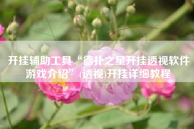 开挂辅助工具“德扑之星开挂透视软件游戏介绍	”(透视)开挂详细教程