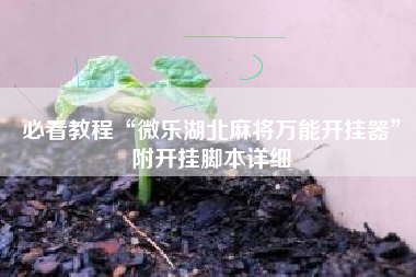 必看教程“微乐湖北麻将万能开挂器	”附开挂脚本详细