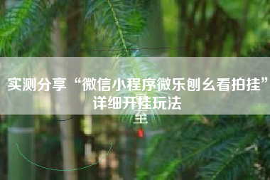实测分享“微信小程序微乐刨幺看拍挂”详细开挂玩法