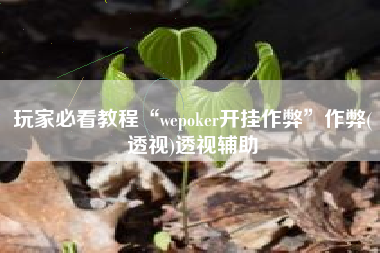 玩家必看教程“wepoker开挂作弊”作弊(透视)透视辅助