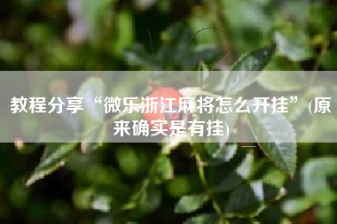 教程分享“微乐浙江麻将怎么开挂”(原来确实是有挂)