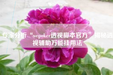 专家分析“wepoker透视脚本官方”揭秘透视辅助万能挂用法