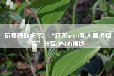 玩家辅助神器：“红龙poker私人局透视挂	”开挂(透视)辅助