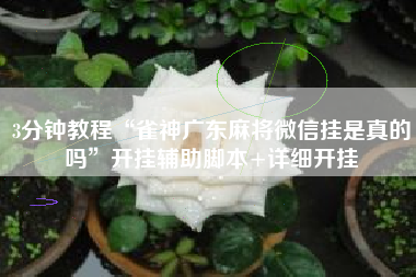 3分钟教程“雀神广东麻将微信挂是真的吗	”开挂辅助脚本+详细开挂