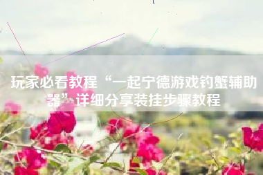 玩家必看教程“一起宁德游戏钓蟹辅助器	”详细分享装挂步骤教程