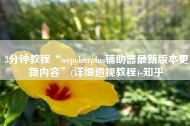 3分钟教程“wepokerplus辅助器最新版本更新内容”(详细透视教程)-知乎