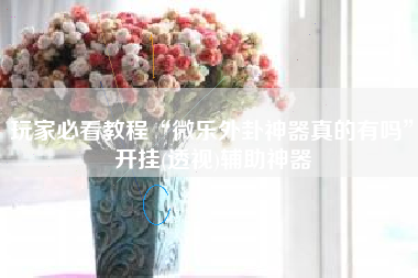 玩家必看教程“微乐外卦神器真的有吗	”开挂(透视)辅助神器