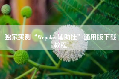独家实测“Wepoker辅助挂”通用版下载教程