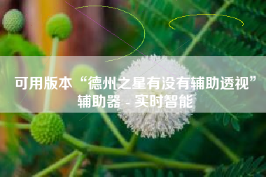 可用版本“德州之星有没有辅助透视”辅助器 - 实时智能