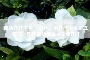 辅助开挂工具“德扑之星开挂透视是真的吗	”开挂辅助脚本+详细开挂