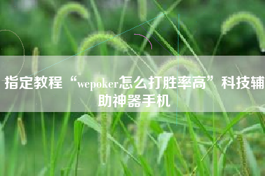 指定教程“wepoker怎么打胜率高”科技辅助神器手机