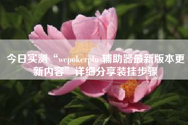 今日实测“wepokerplus辅助器最新版本更新内容”详细分享装挂步骤