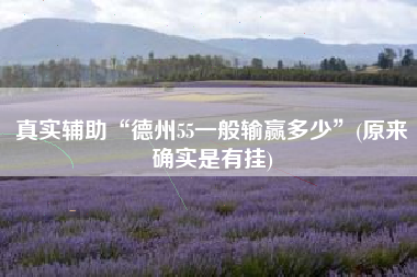 真实辅助“德州55一般输赢多少”(原来确实是有挂)