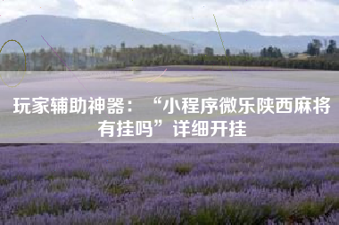 玩家辅助神器：“小程序微乐陕西麻将有挂吗”详细开挂