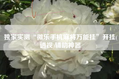 独家实测“微乐手机麻将万能挂	”开挂(透视)辅助神器