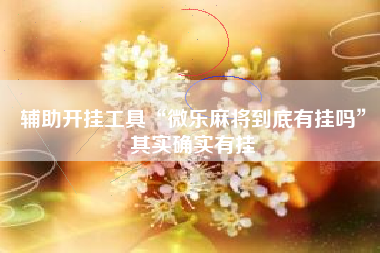 辅助开挂工具“微乐麻将到底有挂吗	”其实确实有挂