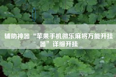 辅助神器“苹果手机微乐麻将万能开挂器”详细开挂
