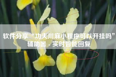 软件分享“功夫川麻小程序可以开挂吗	”辅助器 - 实时智能回复