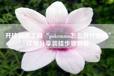 开挂辅助工具“pokemmo怎么开作弊码”详细分享装挂步骤教程