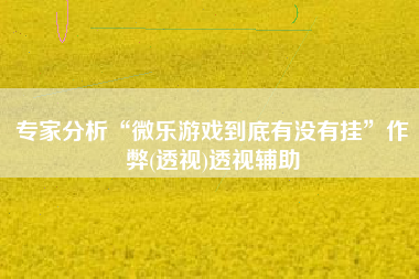 专家分析“微乐游戏到底有没有挂”作弊(透视)透视辅助