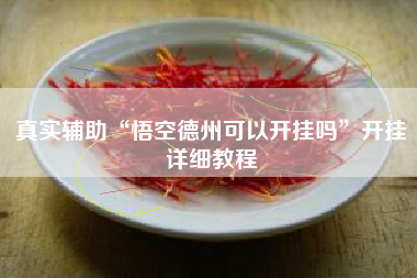 真实辅助“悟空德州可以开挂吗”开挂详细教程