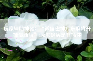 玩家辅助神器：“微信雀神广东麻将开挂最新版”(原来确实是有插件